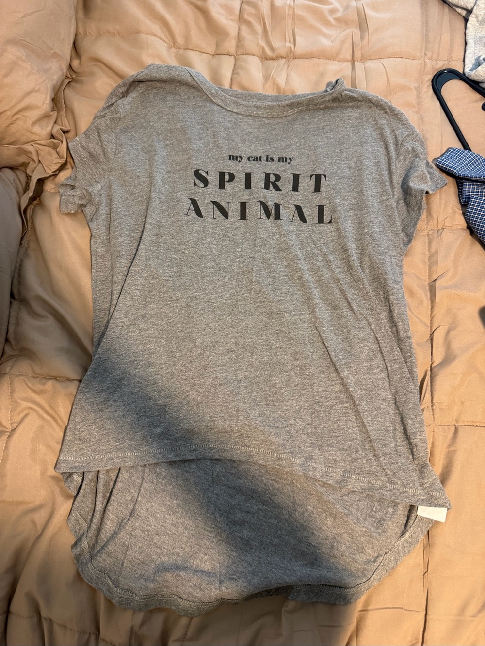 American Eagle Outfitters Gray Graphic Tee